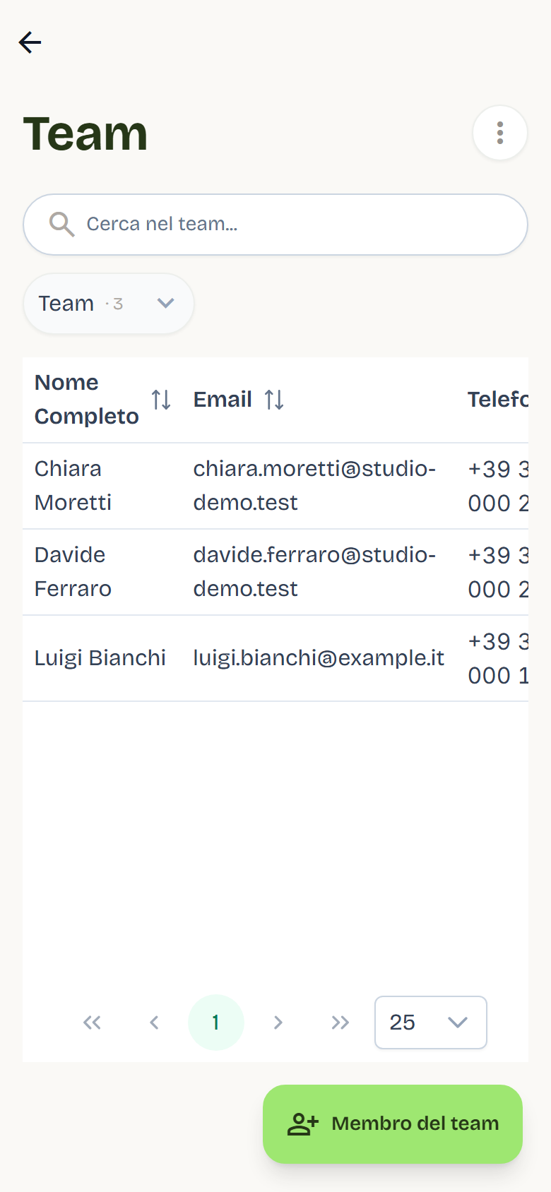 L’elenco Team con tre membri, il loro stato Attivo e il pulsante Gestisci.